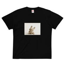 画像をギャラリービューアに読み込む, 球獣『ハグ兎』